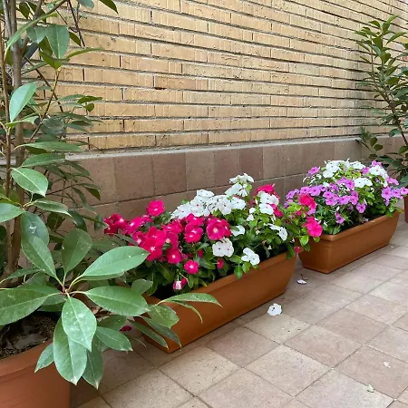 Flowers In 罗马