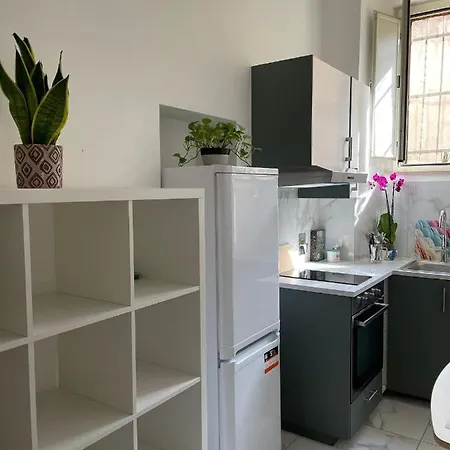 Flowers In Apartment Rom